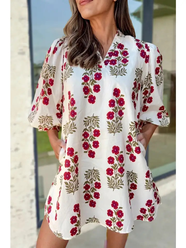 Floral Print V Neck 3/4 Sleeve Dress