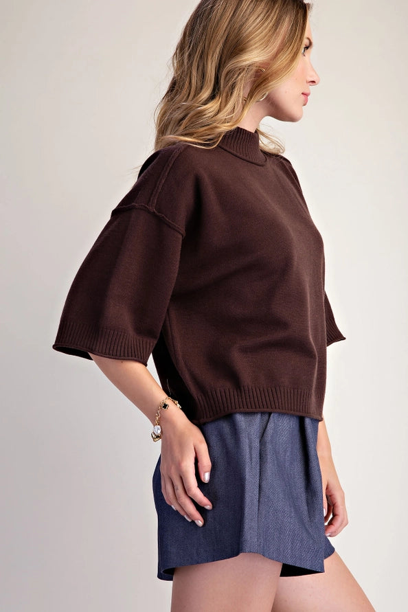 Brown Mock Neck Sweater Top