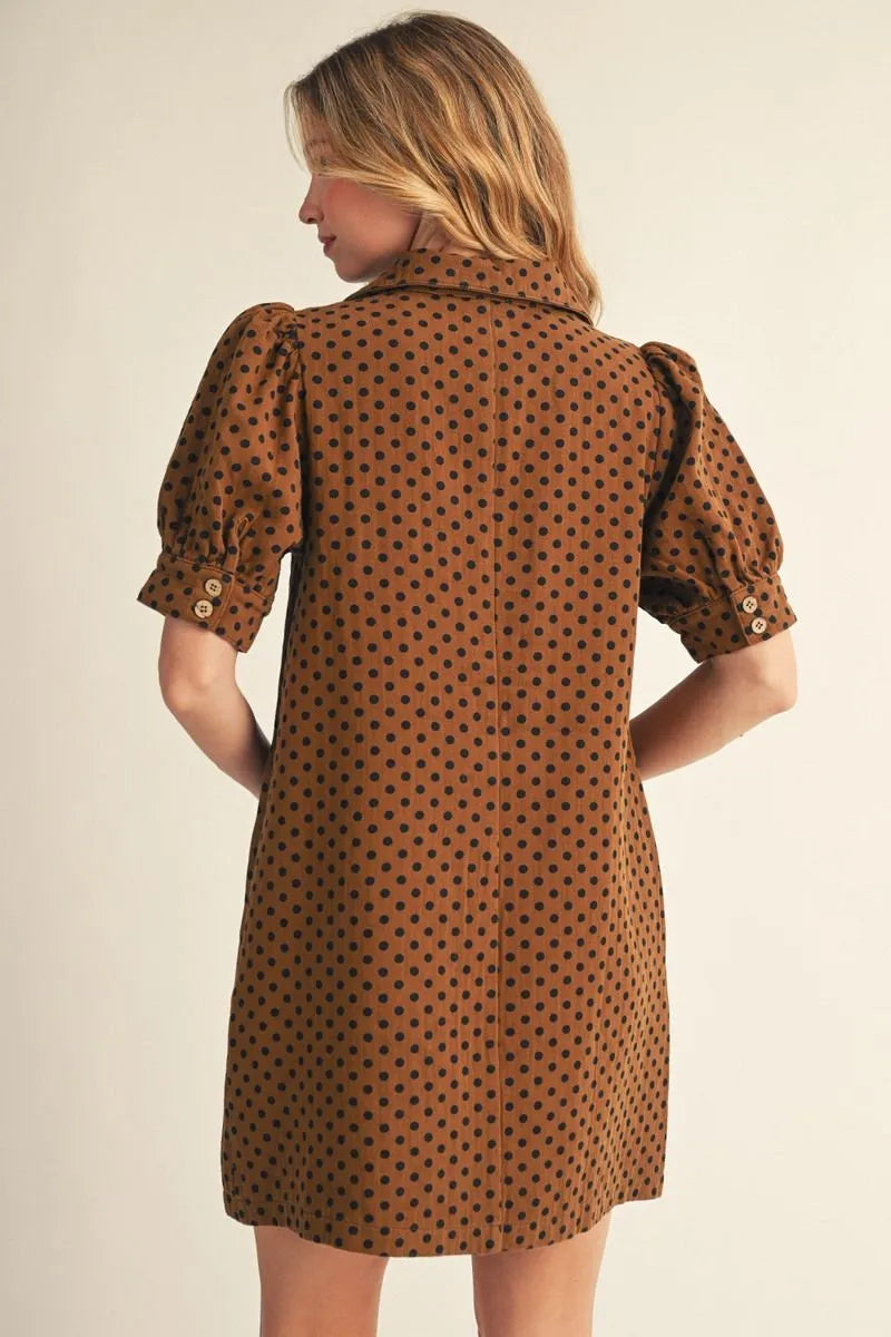 Brown Polka Dot Dress