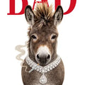 Short Sleeve T-Shirt Bad Donkey