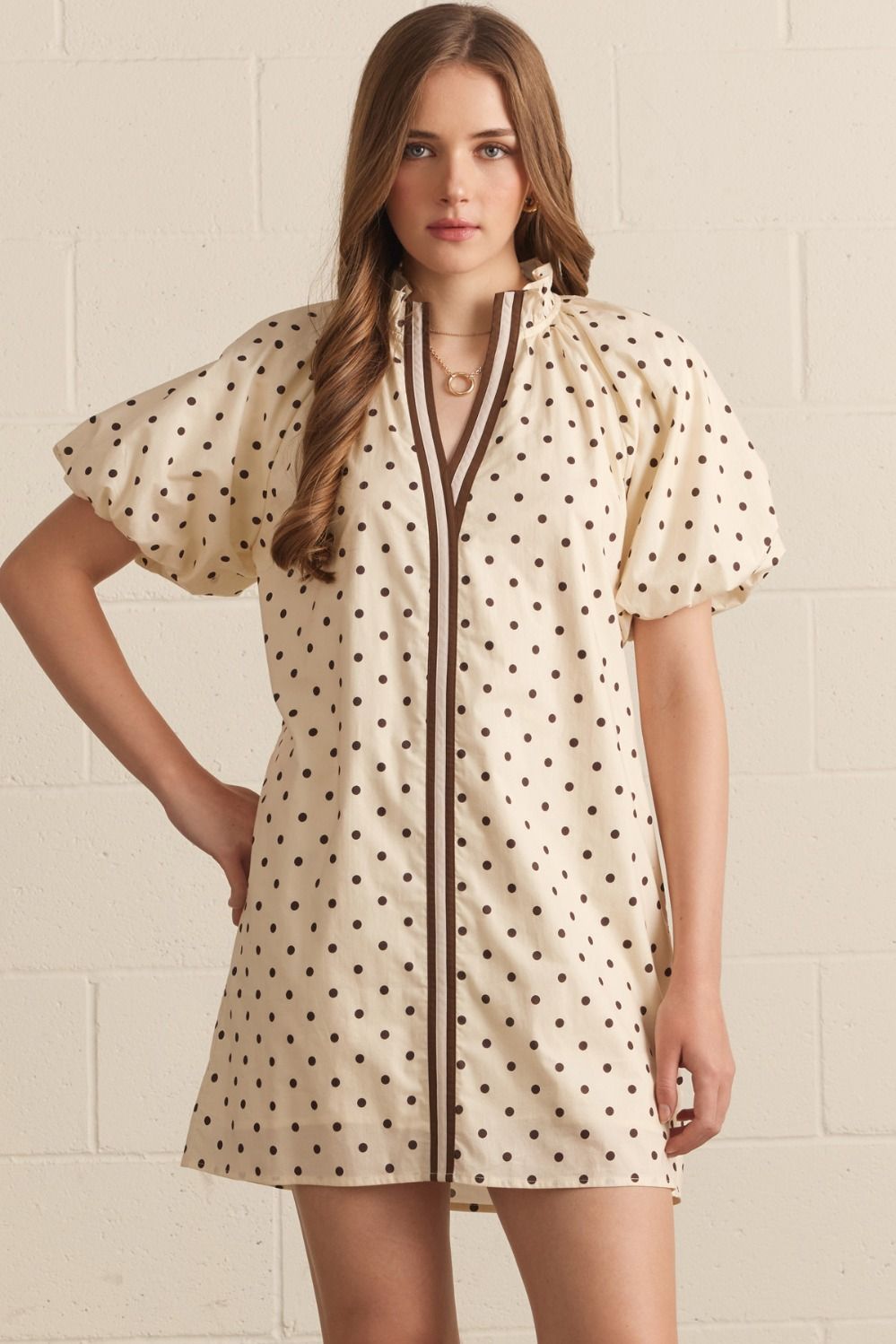 Polka Dot Puff Sleeve Dress