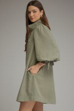 Balloon Sleeve Mini Dress